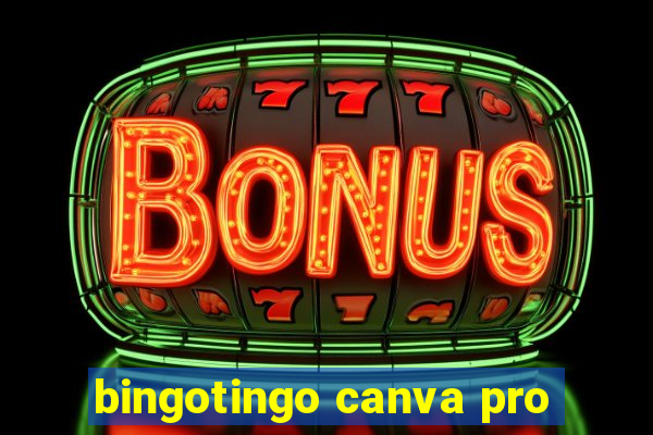 bingotingo canva pro