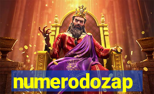 numerodozap