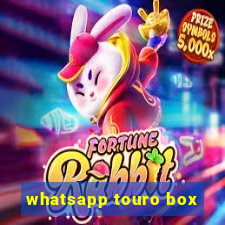 whatsapp touro box